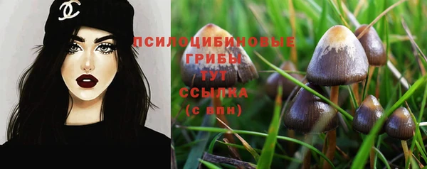 каннабис Абаза