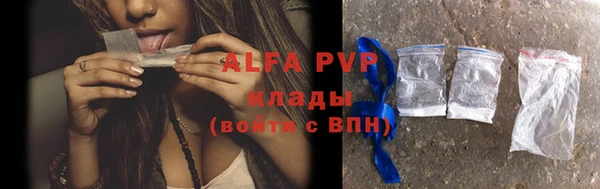 прущие крисы Новозыбков